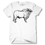 Men's Tshirt Thumbnail