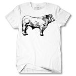 Men's Tshirt Thumbnail