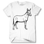 Men's Tshirt Thumbnail