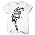 Men's Tshirt Thumbnail