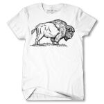 Men's Tshirt Thumbnail