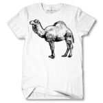 Men's Tshirt Thumbnail