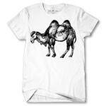 Men's Tshirt Thumbnail