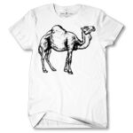 Men's Tshirt Thumbnail