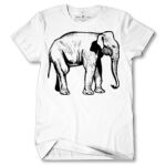 Men's Tshirt Thumbnail