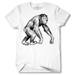 Men's Tshirt Thumbnail