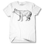 Men's Tshirt Thumbnail