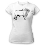 Women's Tshirt Thumbnail